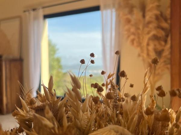 Villa L'Arbousière : photo 3 de la chambre suite avec jacuzzi