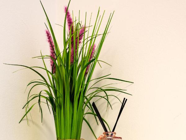 Flataid CityAPART Graz Geidorf : photo 1 de la chambre studio supérieur