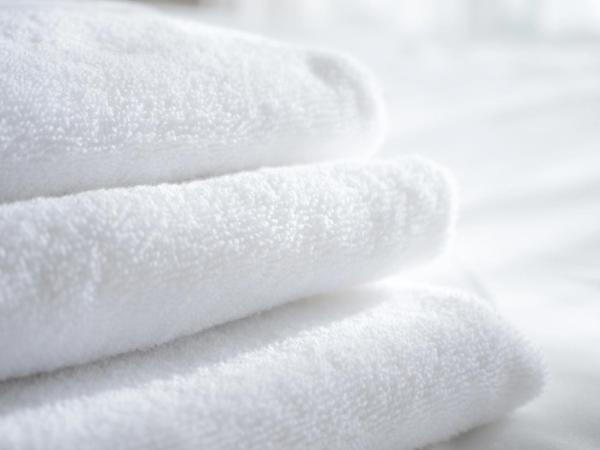 Holiday Inn Express & Suites Atlanta Airport NE - Hapeville, an IHG Hotel : photo 1 de la chambre chambre standard