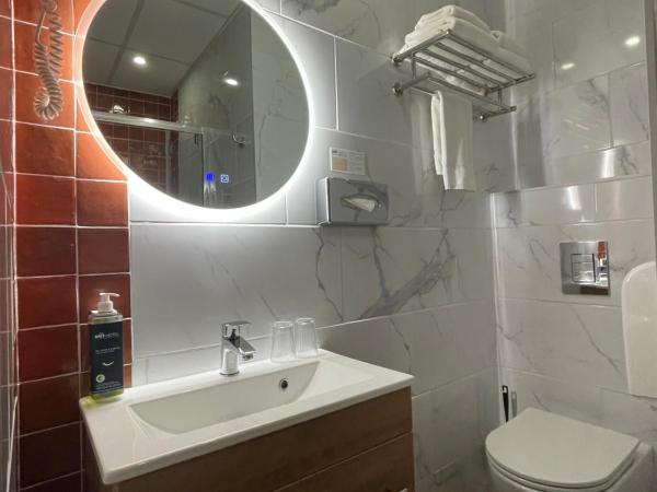 Brit Hotel Acacias : photo 6 de la chambre chambre double avec 2 lits simples (14 m²)