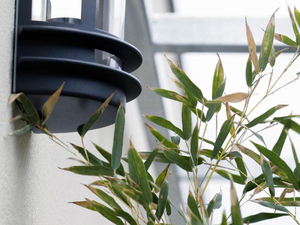 514 Appart Hotel : photo 1 de la chambre appartement - rez-de-chaussée