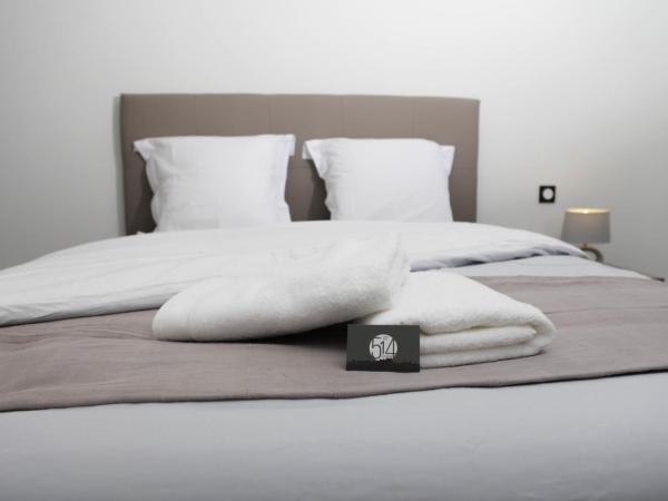 514 Appart Hotel : photo 2 de la chambre appartement - rez-de-chaussée