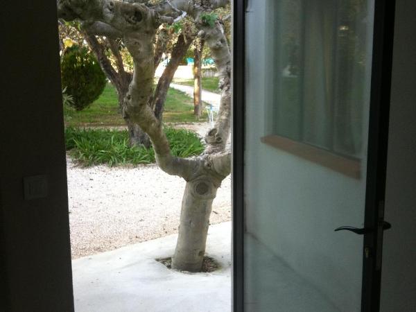 Du Coté de Chez Soi : photo 8 de la chambre chambre lit queen-size - vue sur jardin