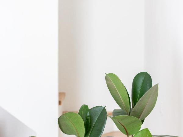 Santo Stefano Loft : photo 8 de la chambre appartement loft 1 chambre avec balcon