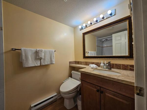 Borgata Lodge Resort : photo 3 de la chambre one-bedroom loft apartment with one queen bed