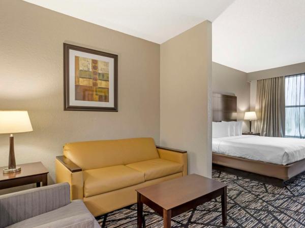Best Western PLUS Hobby Airport Inn and Suites : photo 1 de la chambre chambre lit king-size - adaptée aux personnes malentendantes/non-fumeurs