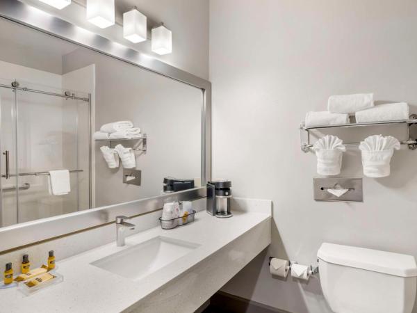 Best Western PLUS Hobby Airport Inn and Suites : photo 4 de la chambre chambre lit king-size - non-fumeurs