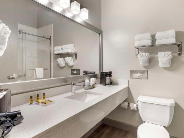 Best Western PLUS Hobby Airport Inn and Suites : photo 4 de la chambre chambre 2 lits queen-size - non-fumeurs