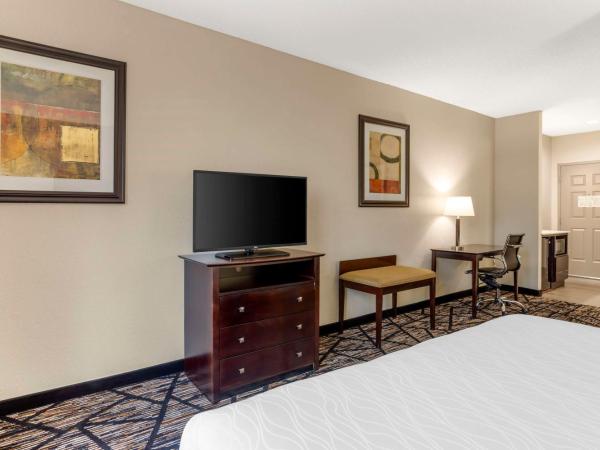 Best Western PLUS Hobby Airport Inn and Suites : photo 2 de la chambre chambre lit king-size - adaptée aux personnes malentendantes/non-fumeurs
