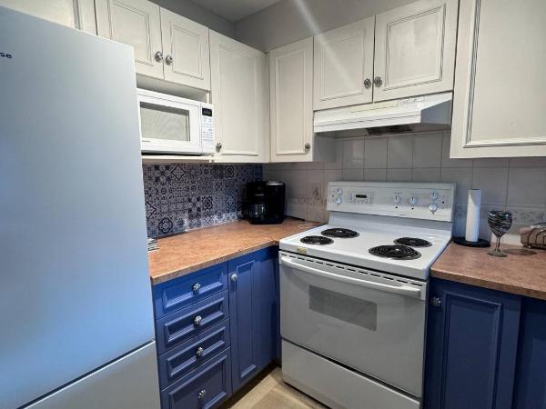 Borgata Lodge Resort : photo 4 de la chambre appartement loft 1 chambre avec balcon