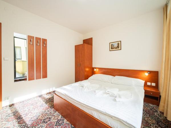 City Central De Luxe : photo 3 de la chambre chambre double ou lits jumeaux (1 adulte)