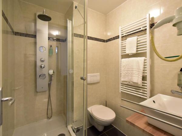 Hotel Rousseau : photo 3 de la chambre chambre simple classique