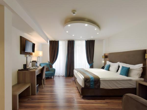 Hotel Rousseau : photo 2 de la chambre chambre double ou lits jumeaux supérieure