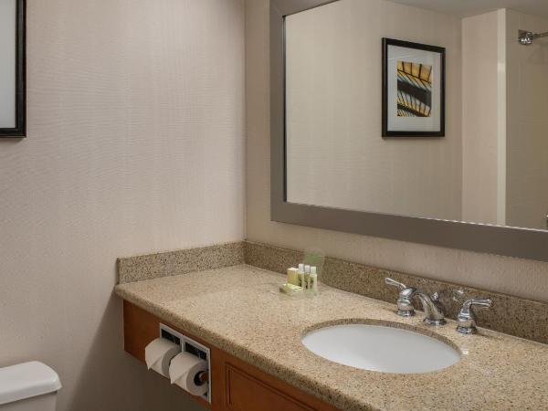 Holiday Inn Winnipeg-South, an IHG Hotel : photo 1 de la chambre chambre standard