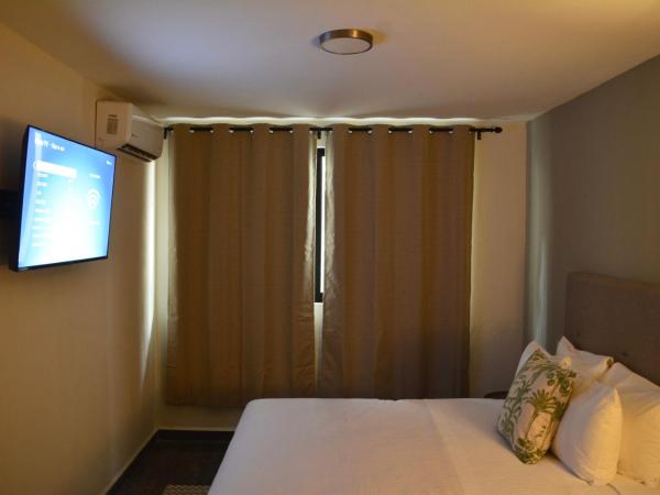 Casa Palmas : photo 10 de la chambre appartement 3 chambres