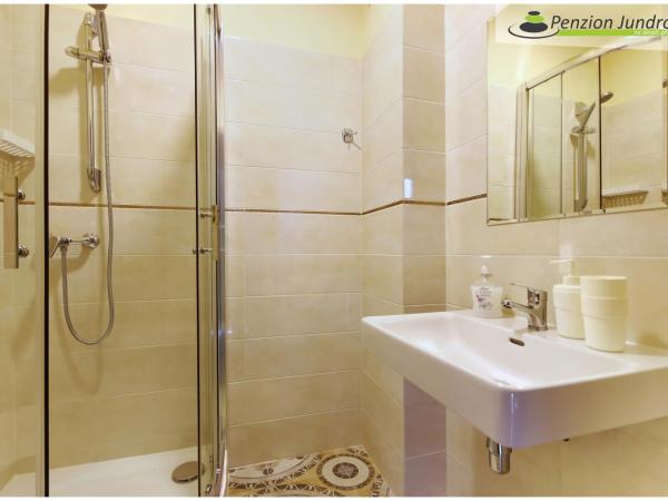 Penzion Vanessa : photo 9 de la chambre chambre double ou lits jumeaux standard