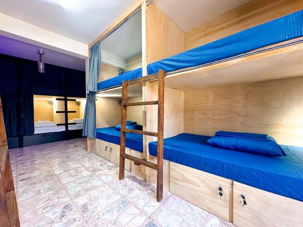 Casa Monarca : photo 2 de la chambre lit dans dortoir mixte de 6 lits