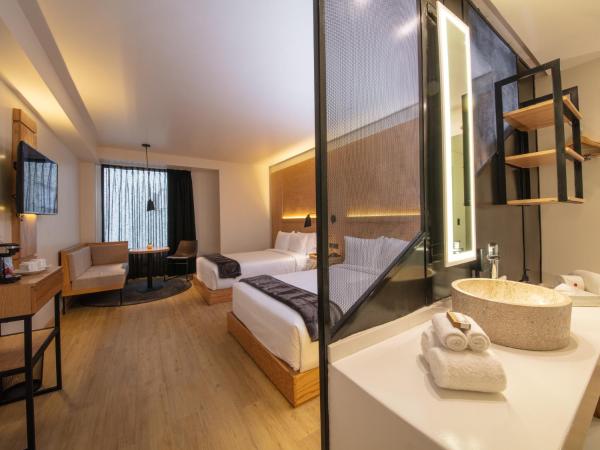 Autentico Monterrey : photo 2 de la chambre chambre double standard