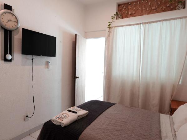 Villa de Reyes Hotel Boutique : photo 2 de la chambre chambre double ou lits jumeaux - vue sur piscine
