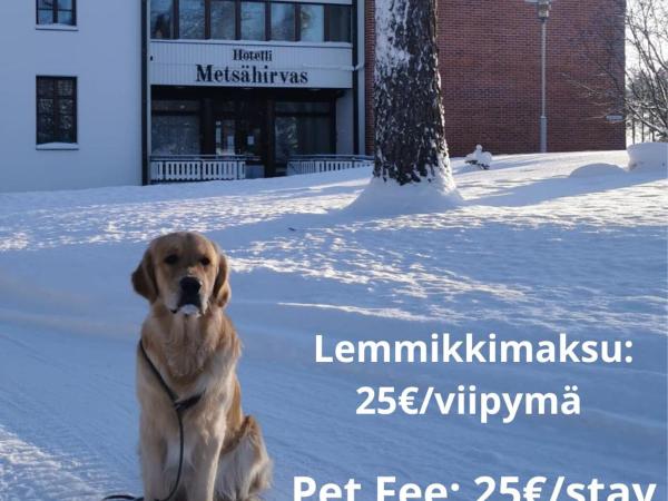 Hotel Metsähirvas : photo 3 de la chambre chambre double standard