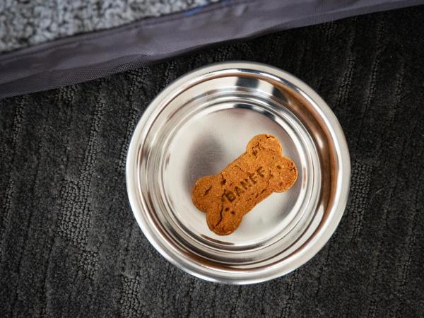 Elk + Avenue Hotel : photo 2 de la chambre chambre lit queen-size standard avec 2 lits queen-size - animaux domestiques acceptés