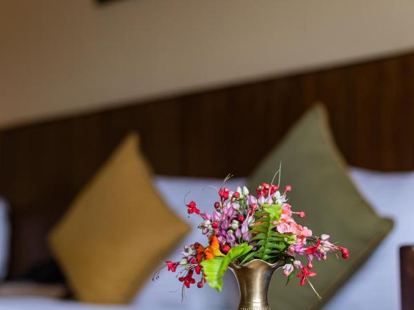 Mount Kailash Resort : photo 6 de la chambre chambre deluxe double ou lits jumeaux