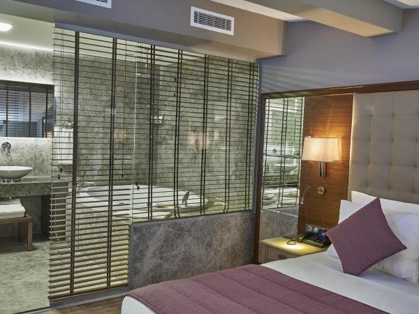 Renata Boutique Hotel Sisli : photo 7 de la chambre suite penthouse avec sauna et jacuzzi