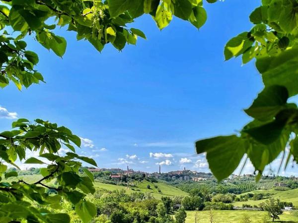 Agriturismo La Corte del Sole : photo 5 de la chambre appartement 2 chambres