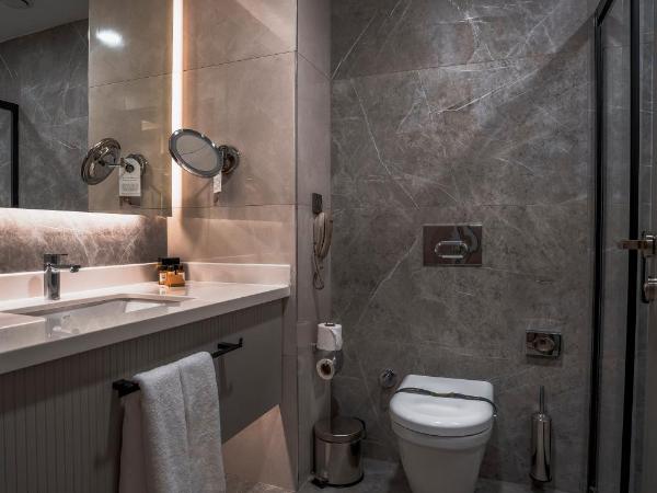 RENEX HOTELS : photo 6 de la chambre chambre double standard