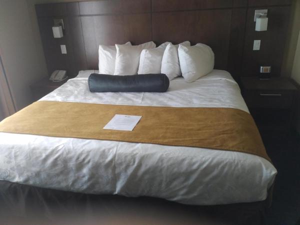 Best Western Plus Winnipeg West : photo 4 de la chambre king room with bathtub - disability access