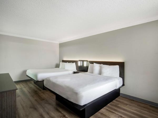 Motel 6 San Antonio, TX I-35 North Corridor : photo 3 de la chambre chambre avec 2 lits queen-size et douche accessible en fauteuil roulant - adaptée aux personnes à mobilité réduite