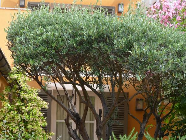 Le Mouillage : photo 5 de la chambre chambre double confort