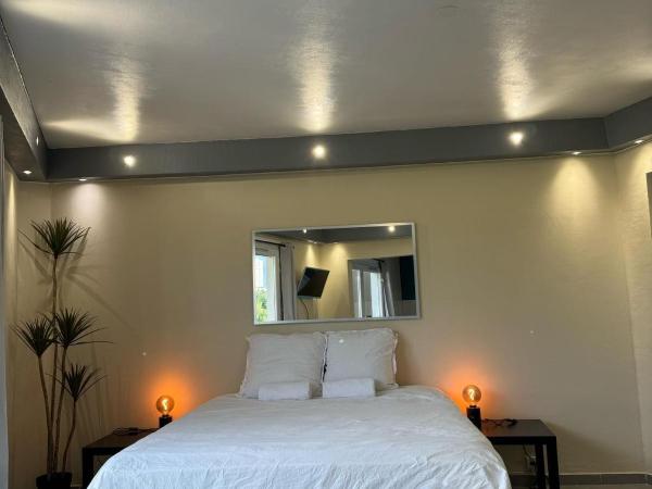 Appart' Hôtel Fauriel Saint Etienne avec parking : photo 2 de la chambre appartement 1 chambre avec balcon