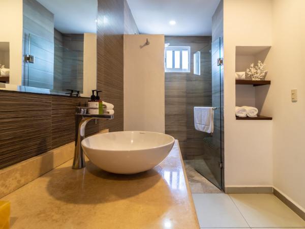 The Paramar Beachfront Boutique Hotel With Breakfast Included - Downtown Malecon : photo 6 de la chambre suite - vue sur ville