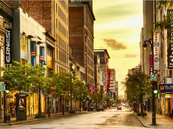 Liv MTL Avenue : photo 8 de la chambre avenue-1275 | spacious 3br suite + rooftop bbq downtown mtl