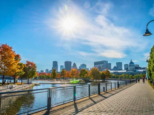 Liv MTL Chic : photo 6 de la chambre chic-2 | spacious 4br suite + rooftop bbq downtown mtl