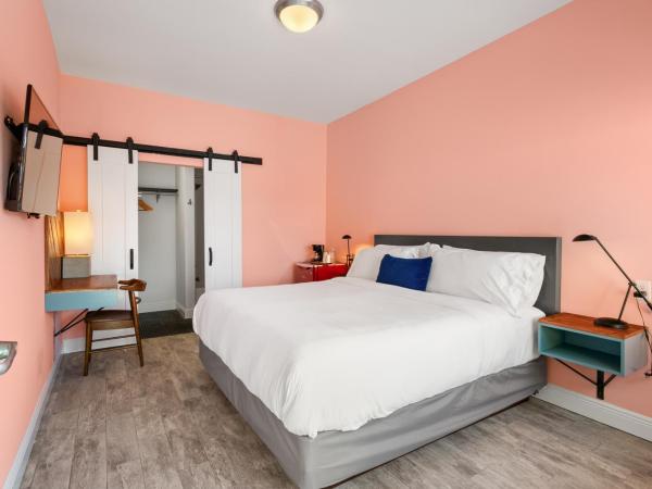 The Iris Motel : photo 1 de la chambre chambre lit king-size