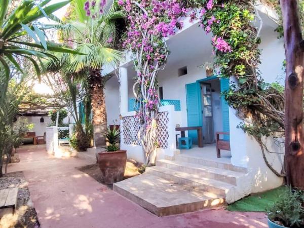 Vent Des Dunes : photo 4 de la chambre chambre triple avec terrasse