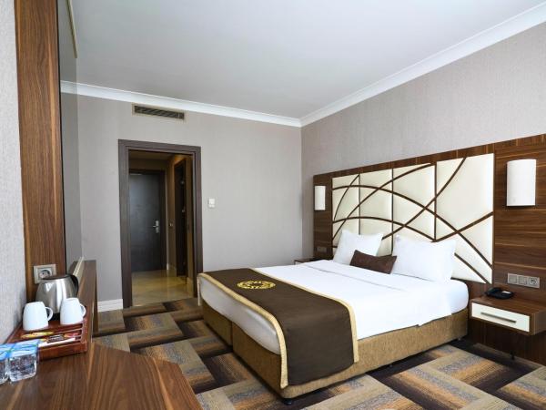 The Grand Mira Business Hotel : photo 5 de la chambre chambre deluxe double ou lits jumeaux