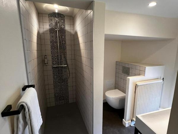 Hôtel Saint-Julien : photo 3 de la chambre chambre lits jumeaux supérieure