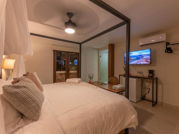 Casa Victoria Malecón - Adults Only : photo 1 de la chambre chambre double avec terrasse