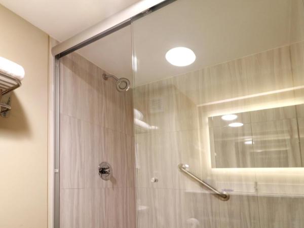 Holiday Inn Express Guadalajara Aeropuerto, an IHG Hotel : photo 8 de la chambre chambre deluxe avec 2 lits queen-size - non-fumeurs