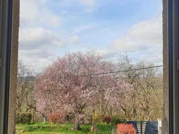 Chambre au calme avec cuisine équipée en supplément sur demande : photo 7 de la chambre chambre double - vue sur jardin
