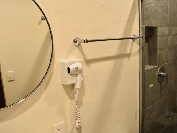 Casa Palmas : photo 7 de la chambre studio lit queen-size