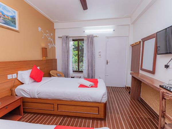 Basundhara Resort Pokhara : photo 2 de la chambre chambre double deluxe