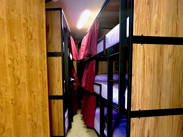 Hostel Vida Verde : photo 4 de la chambre lit superposé dans dortoir mixte