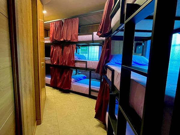 Hostel Vida Verde : photo 6 de la chambre lit superposé dans dortoir mixte