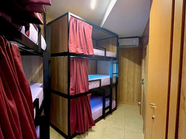 Hostel Vida Verde : photo 7 de la chambre lit superposé dans dortoir mixte