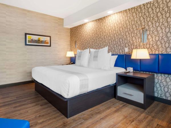 GLō Best Western Kanata Ottawa West : photo 2 de la chambre chambre lit king-size