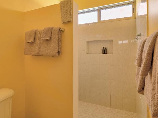 Casa Del Maya Bed & Breakfast : photo 6 de la chambre chambre avec 2 grands lits queen-size 